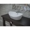 Luna Aquatex Oval Vessel Lavatory Sink -A&E BATH & SHOWER Shop LUNA M WHT LAV