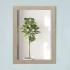24 Inch Vanity Mirror - Light Oak -A&E BATH & SHOWER Shop rmv m24lo life